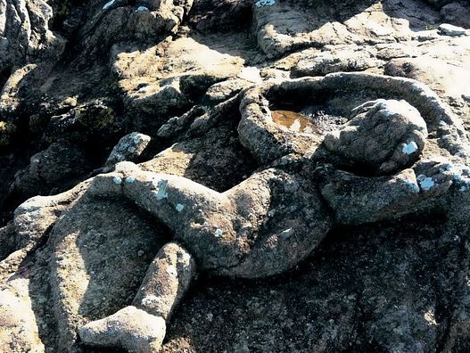 Иллюстрация к книге — Самая таинственная тайна и другие сюжеты [i_112.jpg]