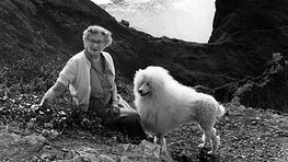 Иллюстрация к книге — Самая таинственная тайна и другие сюжеты [i_133.jpg]