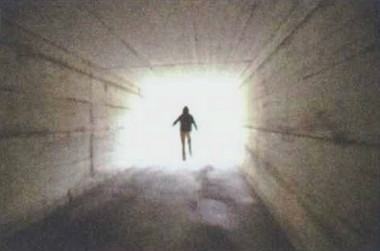 Иллюстрация к книге — Любовь к истории [i_184.jpg]