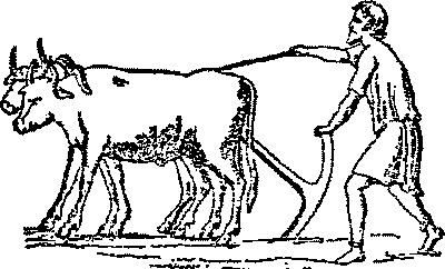 Иллюстрация к книге — Римская республика. От семи царей до республиканского правления [i_008.jpg]