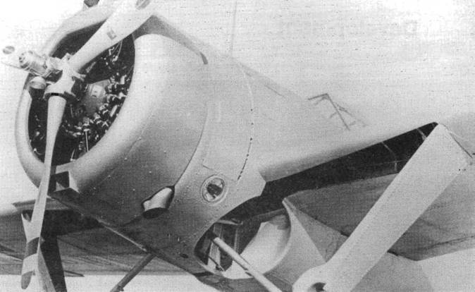 Иллюстрация к книге — Brewster Buffalo [pic_5.jpg]