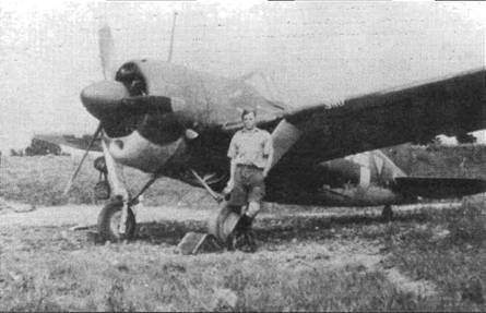 Иллюстрация к книге — Brewster Buffalo [pic_75.jpg]