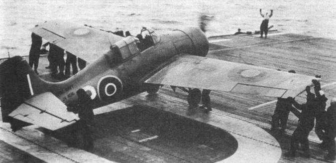 Иллюстрация к книге — Grumman Wildcat [pic_172.jpg]