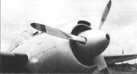 Иллюстрация к книге — Grumman Wildcat [pic_22.jpg]