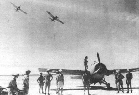 Иллюстрация к книге — Grumman Wildcat [pic_71.jpg]