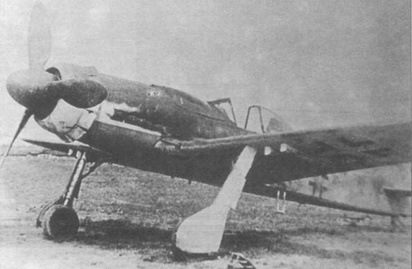 Иллюстрация к книге — Focke Wulf Fw 190D Ta 15 [pic_1.jpg]