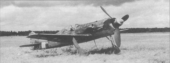 Иллюстрация к книге — Focke Wulf Fw 190D Ta 15 [pic_103.jpg]