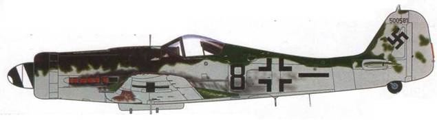 Иллюстрация к книге — Focke Wulf Fw 190D Ta 15 [pic_129.jpg]