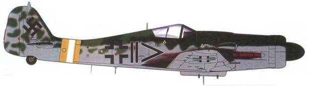 Иллюстрация к книге — Focke Wulf Fw 190D Ta 15 [pic_139.jpg]