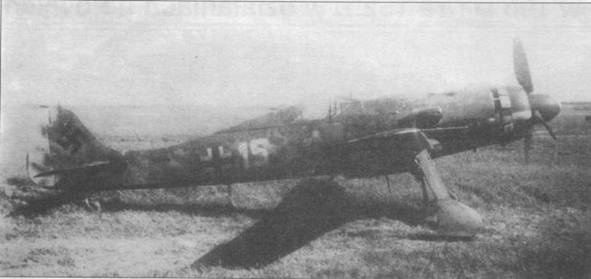 Иллюстрация к книге — Focke Wulf Fw 190D Ta 15 [pic_93.jpg]