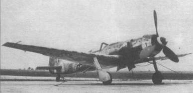 Иллюстрация к книге — Focke Wulf Fw 190D Ta 15 [pic_99.jpg]