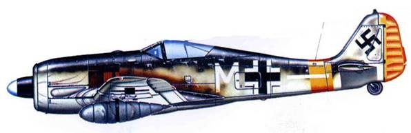 Иллюстрация к книге — Focke Wulf FW190 A/F/G. Часть 2 [pic_207.jpg]