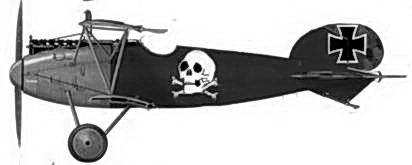 Иллюстрация к книге — Боевое применение германских истребителей Albatros в Первой мировой войне [fb2tobdim_138.jpg]