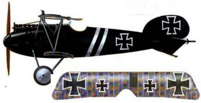 Иллюстрация к книге — Боевое применение германских истребителей Albatros в Первой мировой войне [pic_128.jpg]