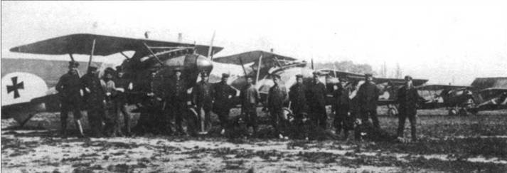 Иллюстрация к книге — Боевое применение германских истребителей Albatros в Первой мировой войне [pic_34.jpg]