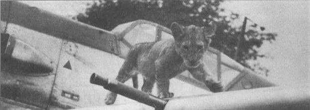 Иллюстрация к книге — Messerschmitt Bf 109. Часть 2 [pic_61.jpg]