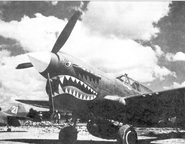 Иллюстрация к книге — Curtiss P-40. Часть 4 [pic_1.jpg]