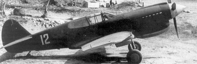 Иллюстрация к книге — Curtiss P-40. Часть 4 [pic_109.jpg]