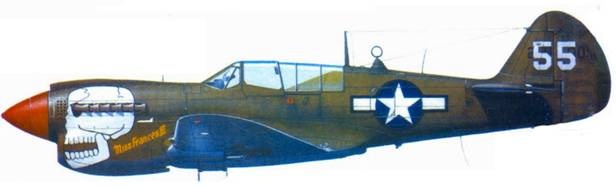 Иллюстрация к книге — Curtiss P-40. Часть 4 [pic_110.jpg]
