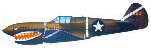 Иллюстрация к книге — Curtiss P-40. Часть 4 [pic_117.jpg]