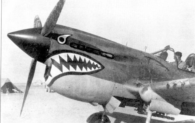 Иллюстрация к книге — Curtiss P-40. Часть 4 [pic_2.jpg]