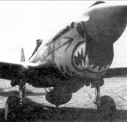 Иллюстрация к книге — Curtiss P-40. Часть 4 [pic_21.jpg]