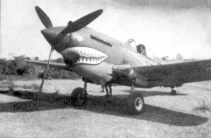 Иллюстрация к книге — Curtiss P-40. Часть 4 [pic_84.jpg]