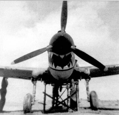 Иллюстрация к книге — Curtiss P-40. Часть 3 [pic_102.jpg]