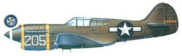 Иллюстрация к книге — Curtiss P-40. Часть 3 [pic_119.jpg]