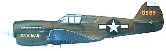 Иллюстрация к книге — Curtiss P-40. Часть 3 [pic_120.jpg]