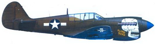 Иллюстрация к книге — Curtiss P-40. Часть 3 [pic_130.jpg]