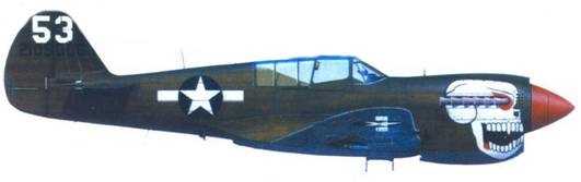 Иллюстрация к книге — Curtiss P-40. Часть 3 [pic_132.jpg]