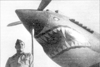 Иллюстрация к книге — Curtiss P-40. Часть 3 [pic_96.jpg]