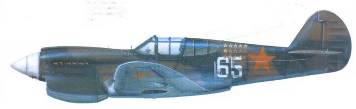 Иллюстрация к книге — Curtiss P-40. Часть 2 [pic_149.jpg]