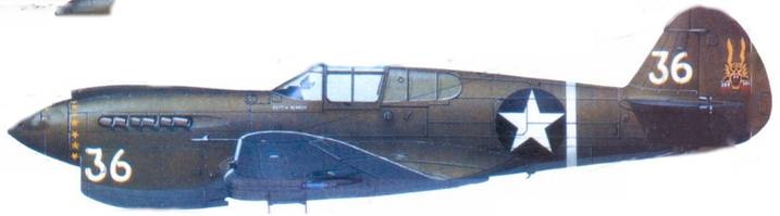 Иллюстрация к книге — Curtiss P-40. Часть 2 [pic_156.jpg]