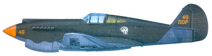 Иллюстрация к книге — Curtiss P-40. Часть 1 [pic_102.jpg]