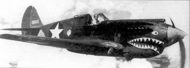 Иллюстрация к книге — Curtiss P-40. Часть 1 [pic_33.jpg]