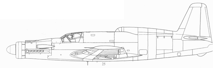 Иллюстрация к книге — Do 335 «Pfeil». Самый быстный поршневой истребитель. Часть 2 [pic_26.jpg]