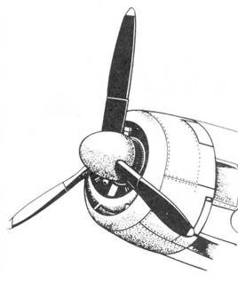 Иллюстрация к книге — F6F Hellcat Часть 1 [pic_16.jpg]