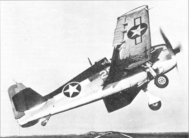 Иллюстрация к книге — F6F Hellcat Часть 1 [pic_36.jpg]