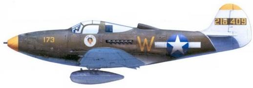 Иллюстрация к книге — Боевое применение Р-39 Airacobra [pic_129.jpg]