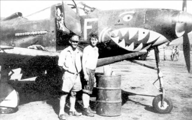 Иллюстрация к книге — Боевое применение Р-39 Airacobra [pic_52.jpg]