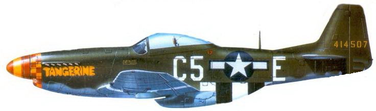 Иллюстрация к книге — Р-51 «Mustang» Часть 2 [pic_132.jpg]