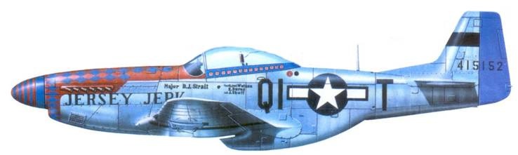 Иллюстрация к книге — Р-51 «Mustang» Часть 2 [pic_138.jpg]