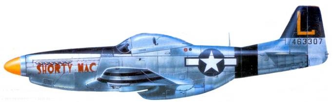 Иллюстрация к книге — Р-51 «Mustang» Часть 2 [pic_140.jpg]