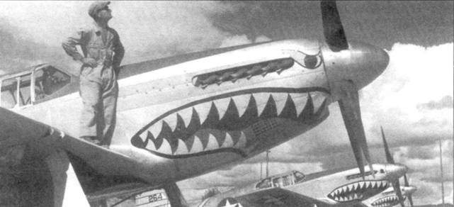 Иллюстрация к книге — Р-51 «Mustang» Часть 2 [pic_47.jpg]