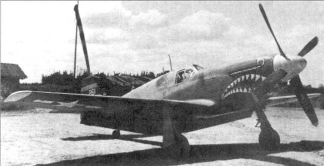 Иллюстрация к книге — Р-51 «Mustang» Часть 2 [pic_49.jpg]
