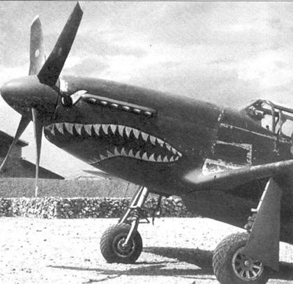 Иллюстрация к книге — Р-51 «Mustang» Часть 2 [pic_50.jpg]