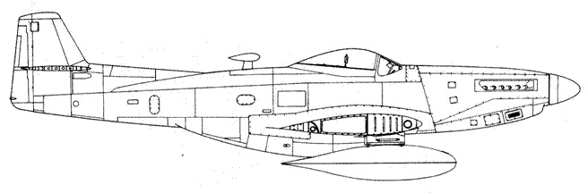 Иллюстрация к книге — Р-51 «Mustang» Часть 2 [pic_87.jpg]