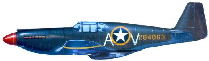 Иллюстрация к книге — Р-51 «Mustang» Часть 1 [pic_153.jpg]